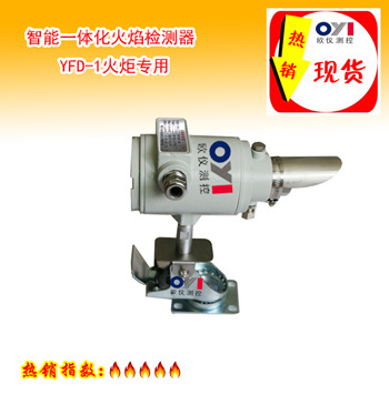 火炬专用火焰检测器