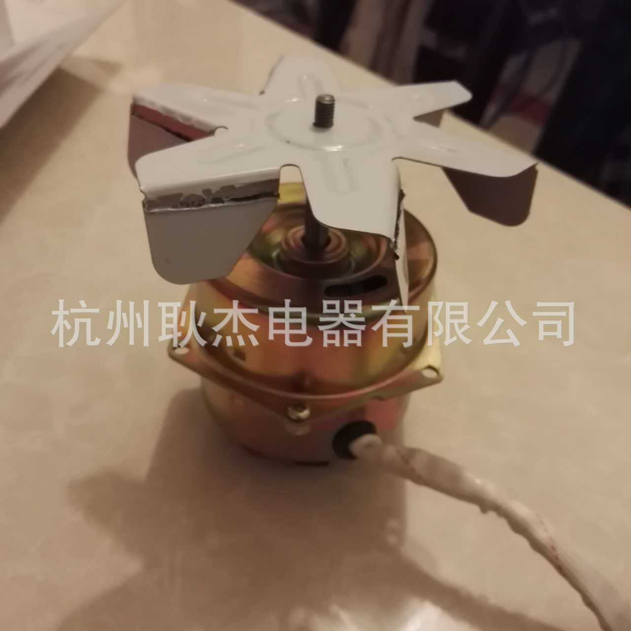 供应YYC-80F1单相电容运转异步电动机16W 干燥箱风扇电机 培养箱