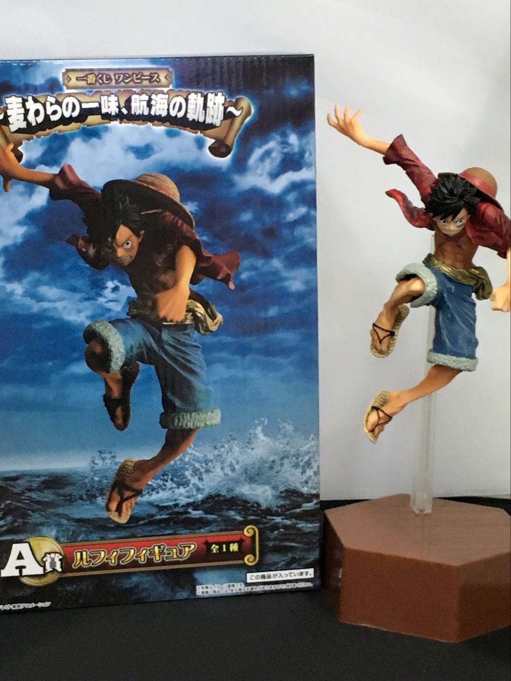 3093404231_2064383313