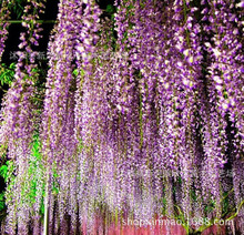 ���l���٘����Ʒ�N�ϻ����ٻ����ж�����������ֲ�����ɻ��