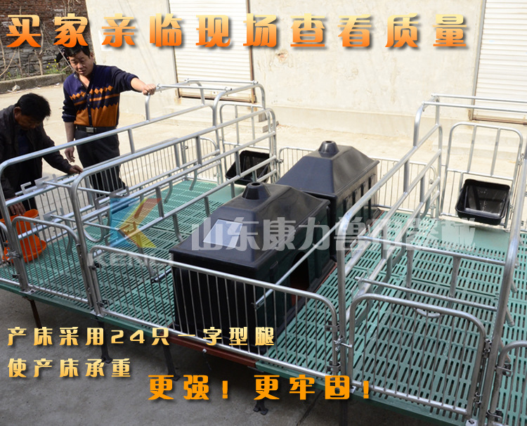 母猪产床养殖设备双体复合加厚加宽猪用产床 单体产床现货猪定位