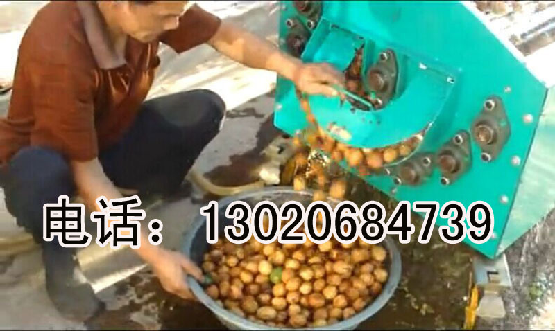 青核桃去皮机