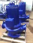 化工屏蔽spg65-250管道屏蔽泵