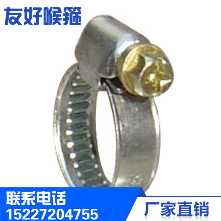 厂家直销 德式喉箍 201 304材质 德式喉箍 型号定制 不锈钢抛光|ms