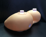 Фабрика Dami Mimi грудь сплошная башнамная бутылка для купания