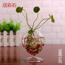 透明玻璃花瓶玫瑰花台面花瓶 创意居家装饰品