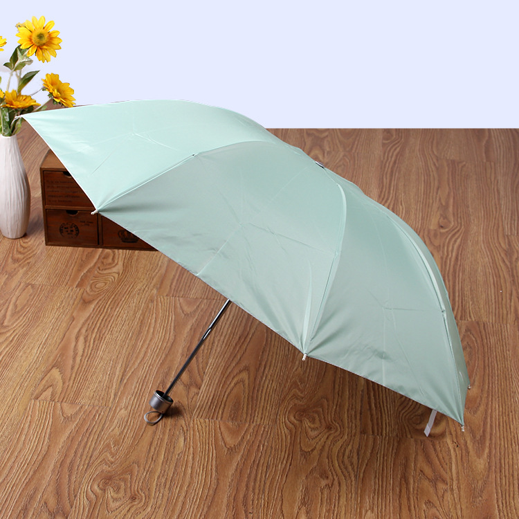 未标题-1_0008_IMG_9893