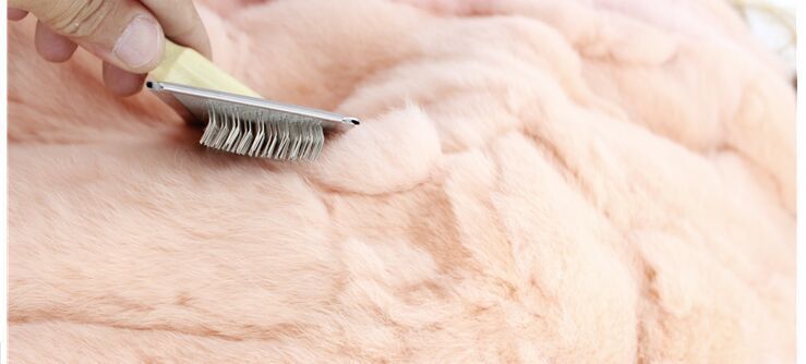 1932580463_1632340164