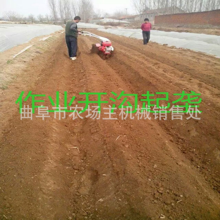 1454761952961_副本