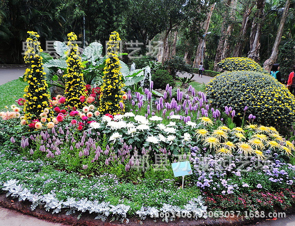 1384613916-965702366_n