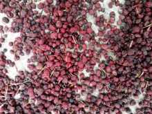 灵芝之家竹红菌灵芝产地直销一手货源批发仙草保健云南野生