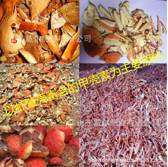 2990497390_636267711_副本