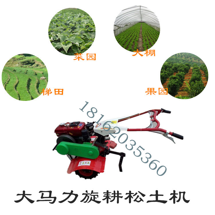 10197310_205137594167_2_副本