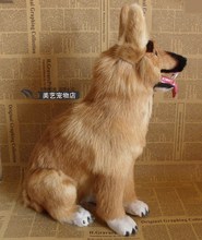 ˇǹëȮ̌WdҾrbչ[[