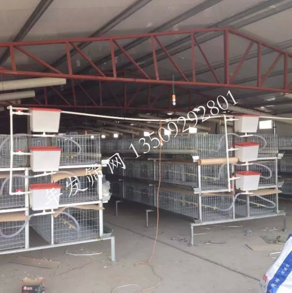 批发立体式4层2门加粗加密鸡笼肉鸡育雏笼 公鸡种鸡笼具养殖设备-阿里巴巴