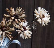 �p��֥�黨 ��ɫС�r�ռ��ֹ��ɻ� ����ճ��  ��������Ȼԭ���B