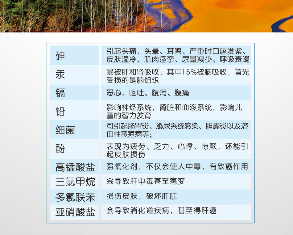 天纯网站排版4-s_05