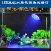 supply LED Dive Spot Garden Lights Pond Lights Fish tank lamp SL-1801