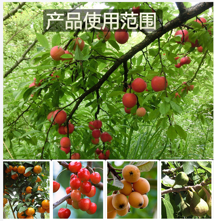 TB2fiI8XZrC11Bjy1zjXXcduVXa_!!