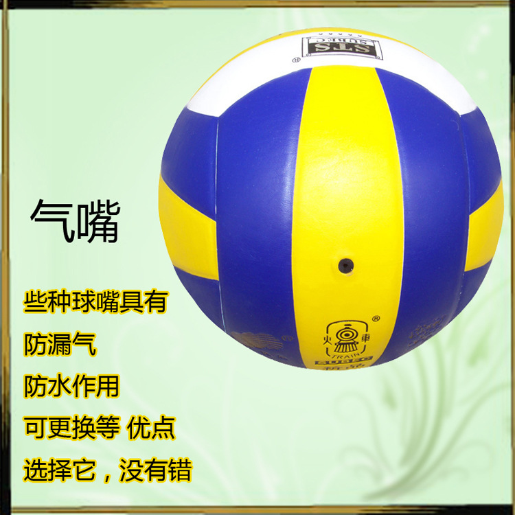 Ballon de volley - Ref 2008145 Image 8