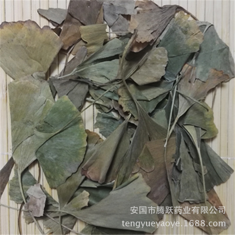 Dried Ginkgo Leaf Ye Xing Ye 1kg Bulk Chinese Herbal Tea Ingredient quality and texture