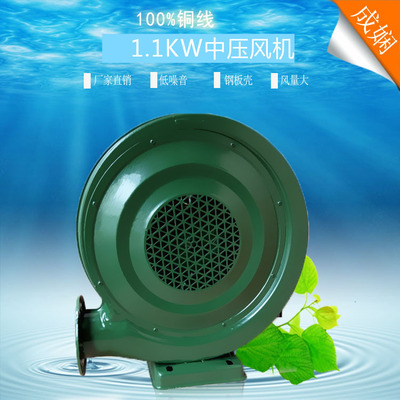 wholesale|Shanghai 1.1KW Copper wire Blower noise Air mold Fan 220V/380V Blower