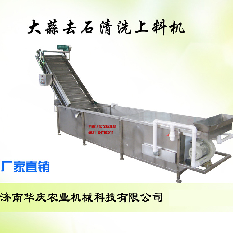 大蒜去石上料切片机  大蒜清洗机 蒜片清洗机 洗菜机
