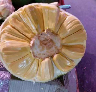 均有木菠萝_泰国进口菠萝蜜红肉黄肉均有木菠