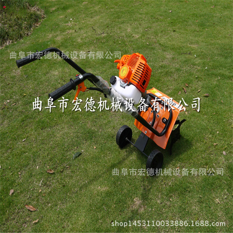 2282598010_1547416948