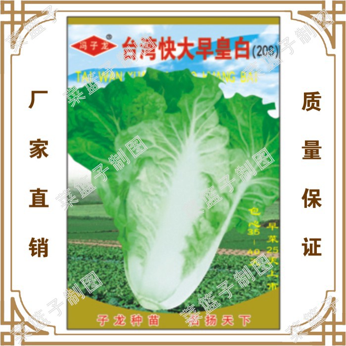 早皇白图片,早图片大全图片 - 伤感说说吧