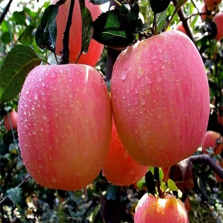 QQ图片20161004100222