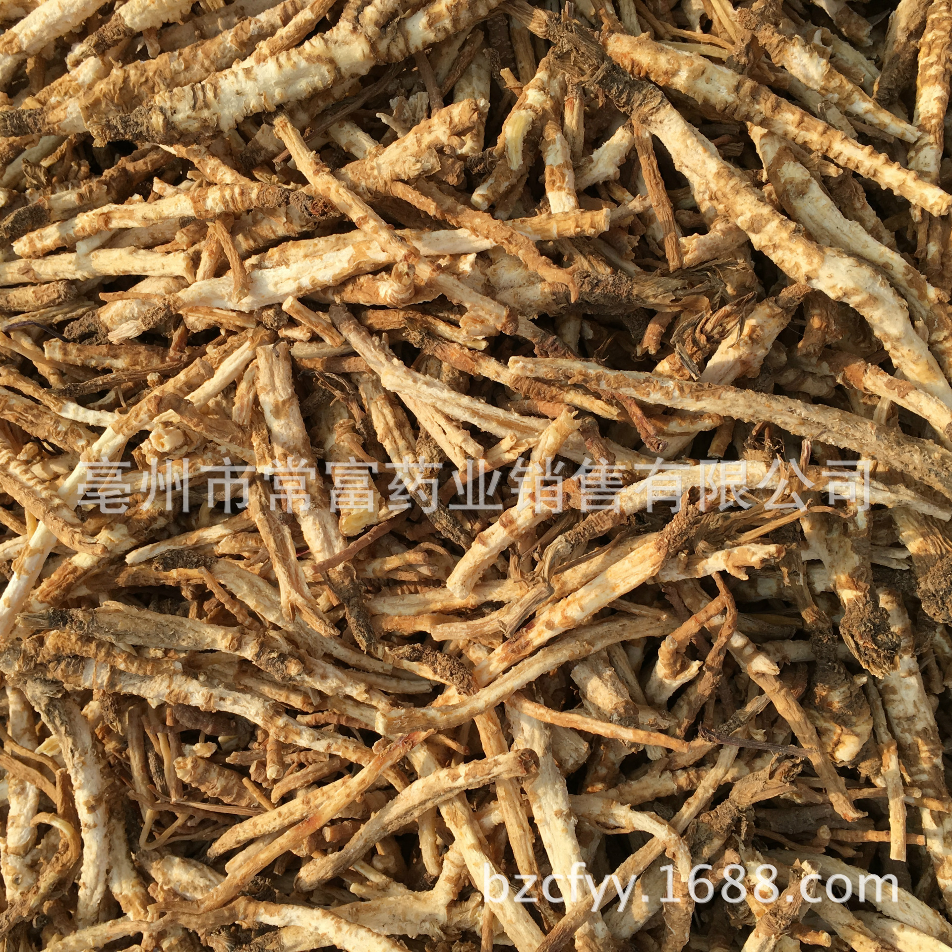 Dried North Glehnia Root Bei Sha Shen Whole Roots 500g for Culinary Herbal Soups and Decoctions quality and texture