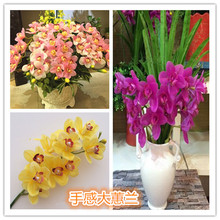 ���滨�S���ָз���ֲ������ٻ��|���m��12�^�������ޥ�m���^�m