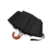 Automatic men's umbrella, fully automatic