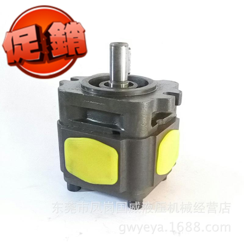 HDS�����ϳ��ֱ�BIG5 100Һѹ�����IPVP6-100��ѹ���ֱ�