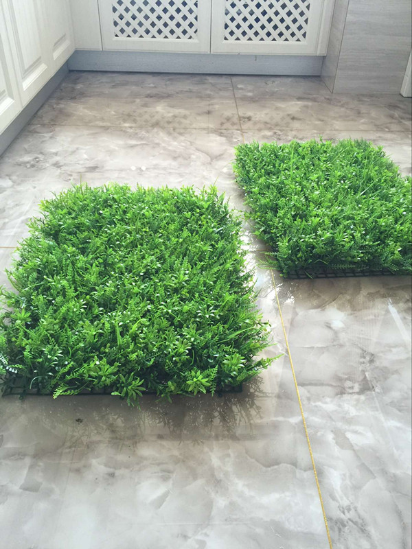 QQ图片20160707150351_副本