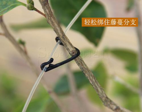 Wholesale Grape Tying Wire, Binding Straps, Grape Vine Clips, Branch-tying Clamps, Vine Fixing Clips with Hooks