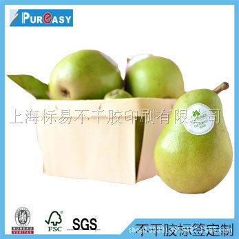 卷筒不干胶印刷,专业定做生产批发化工不干胶标签、标贴、贴纸