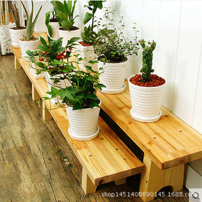 solid wood a living room Showy Windowsill Scindapsus frame balcony indoor to ground Succulent plants woodiness Special Offer multi-storey
