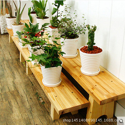 solid wood a living room Showy Windowsill Scindapsus frame balcony indoor to ground Succulent plants woodiness Special Offer multi-storey