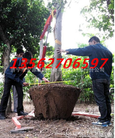各种移植挖树机 带土球挖树机