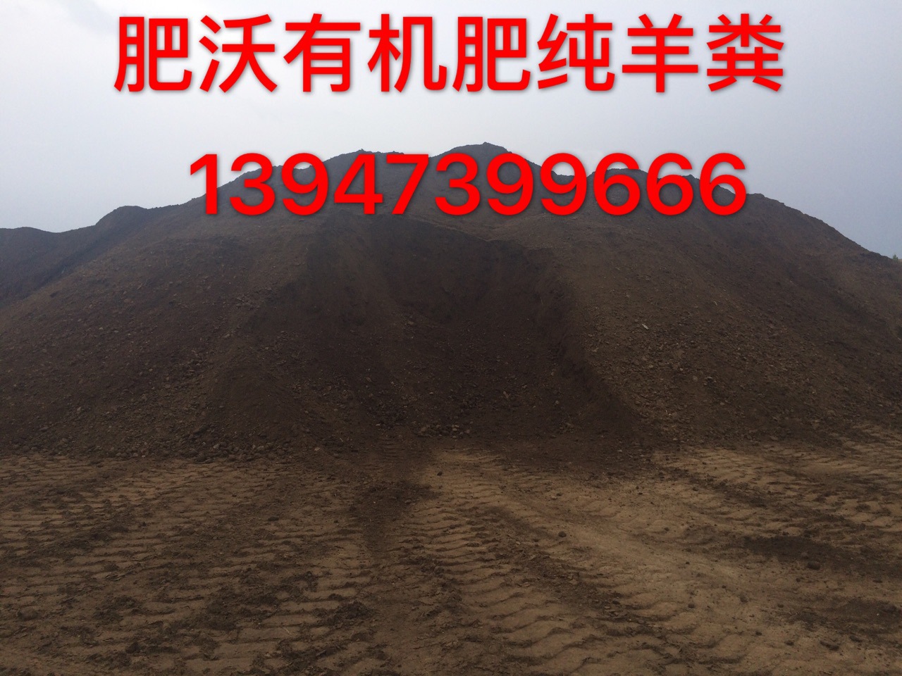 散装内蒙古发酵纯羊粪厂家直销批发