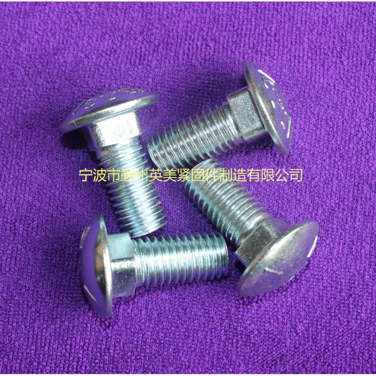 美标马车螺栓 (2)