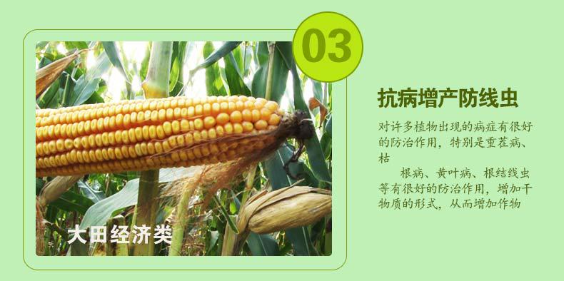 详情1_05