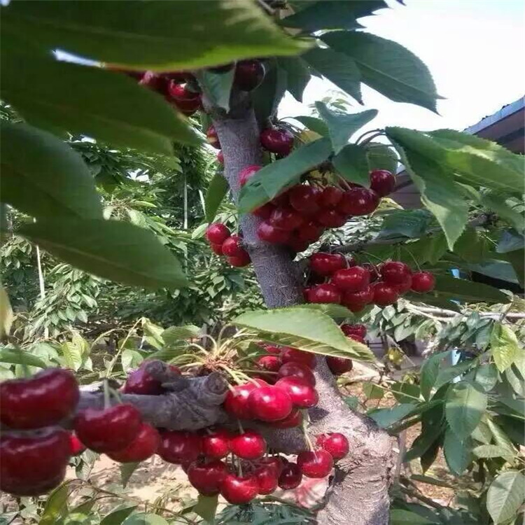 QQ图片20160802101620