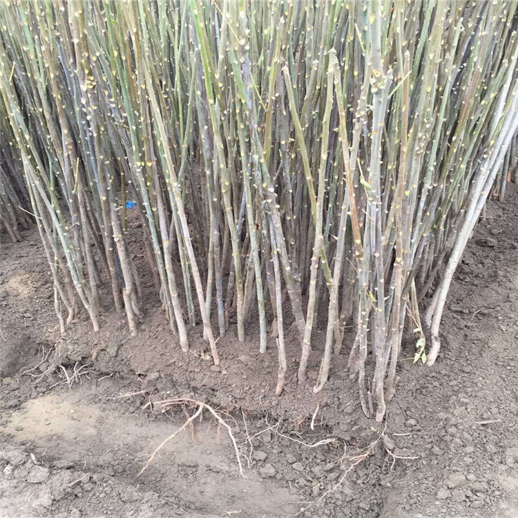 QQ图片20160908211035