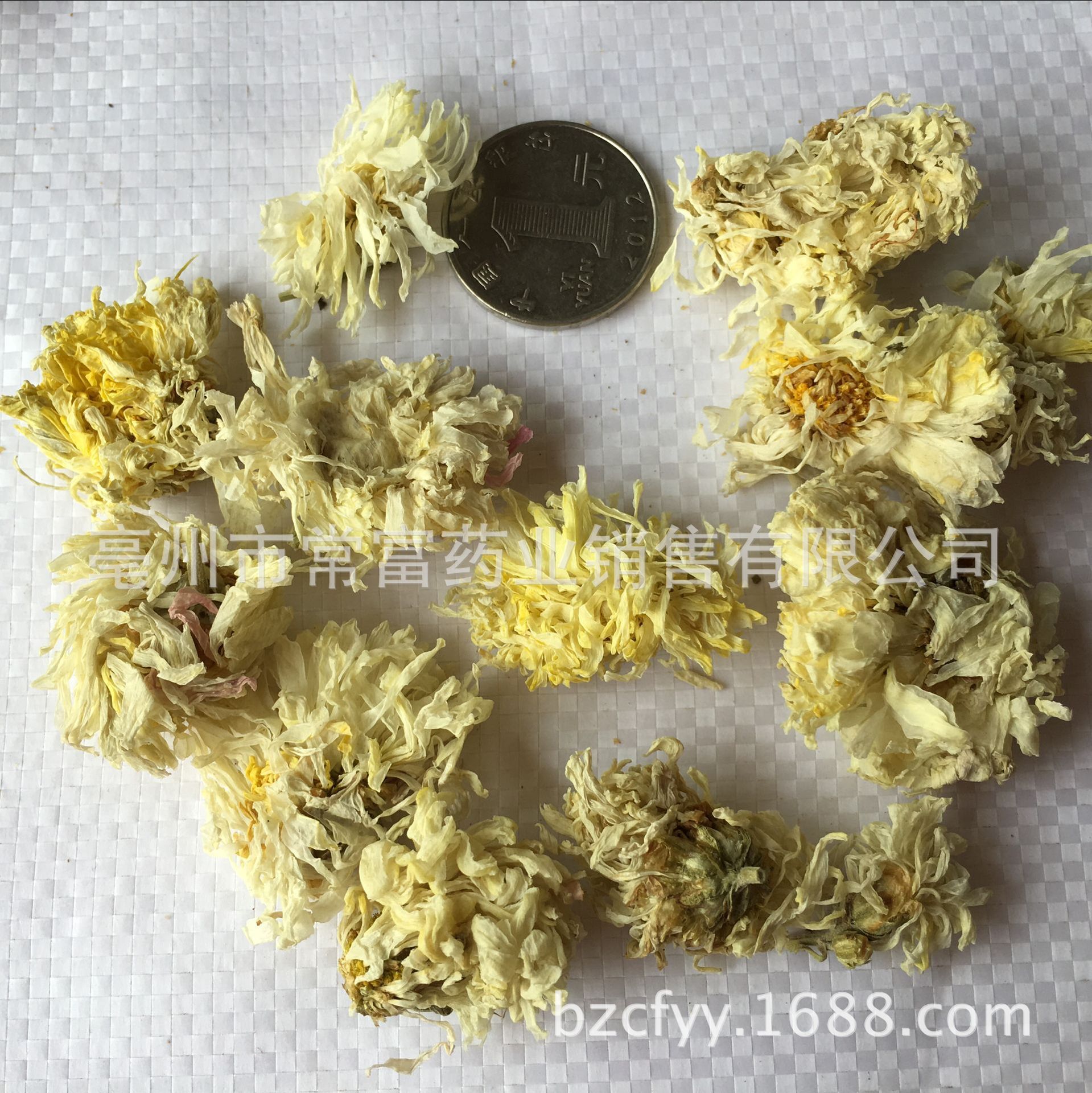Bo Chrysanthemum Flower Bo Ju Hua Dried Whole Flowers for Tea and Culinary Use 500g Natural Sun Dried Bulk overview