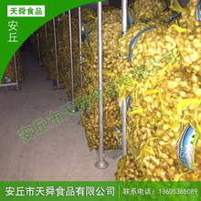 安丘大姜价格_最新安丘大姜价格\/批发报价_安