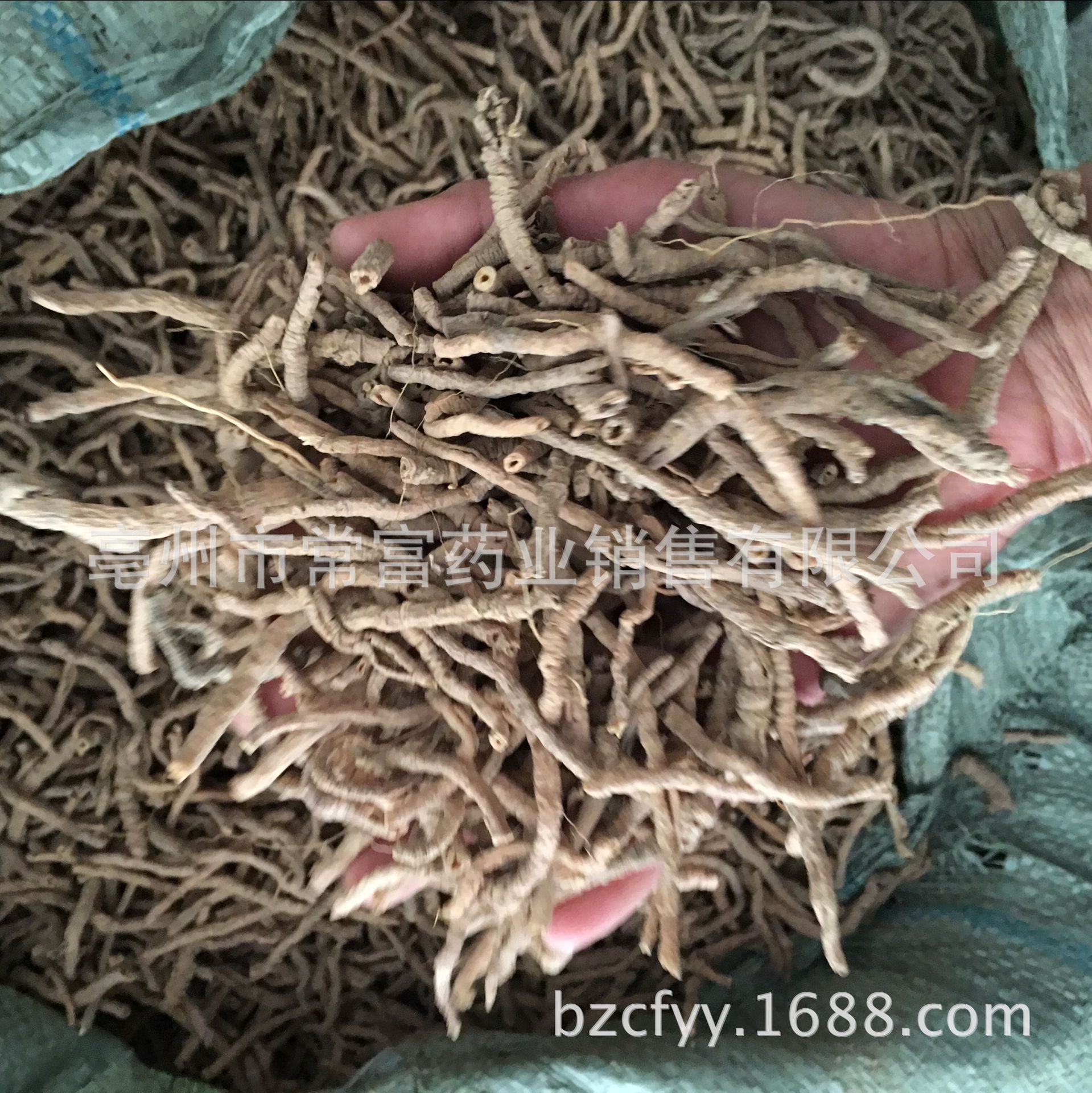 Polygala Root Yuan Zhi 远志 Dried TCM Herb 500g Shanxi Origin for Decoction and Culinary Use preparation