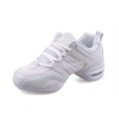 New Style Mesh Dance Shoes with Height Increase for Women, Soft Sole Modern Square Dance Shoes, Fitness Shoes, Wholesale 729